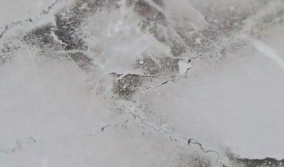 微信图片_20200702092249 微信图片_20200702092249
